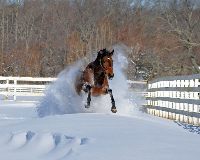 Daily picdump (133 pics)