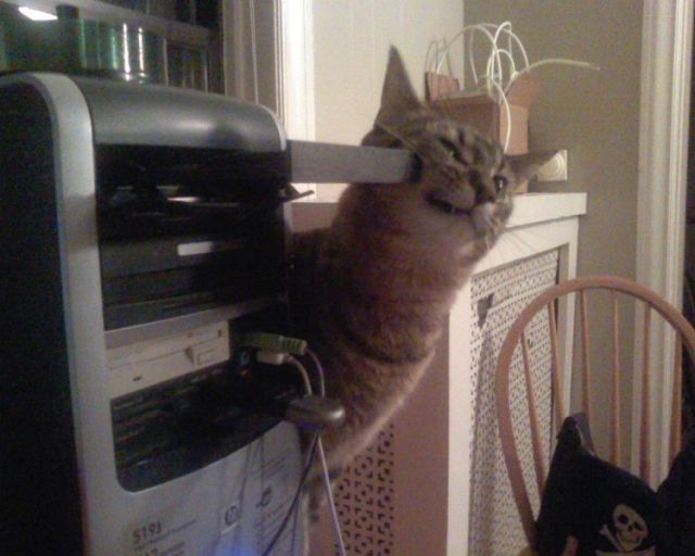 Daily picdump (133 pics)