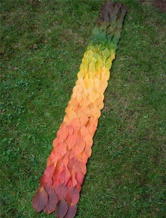 Daily picdump (133 pics)