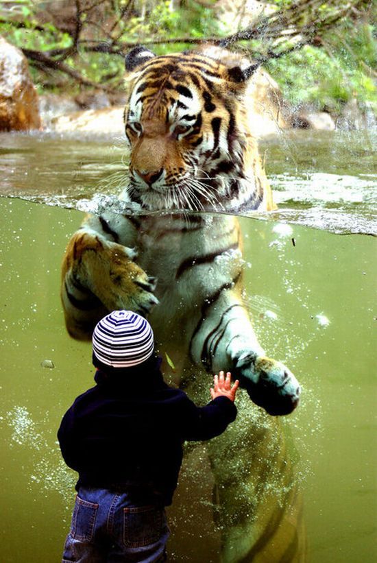 Daily picdump (133 pics)