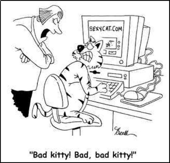 Daily picdump (133 pics)