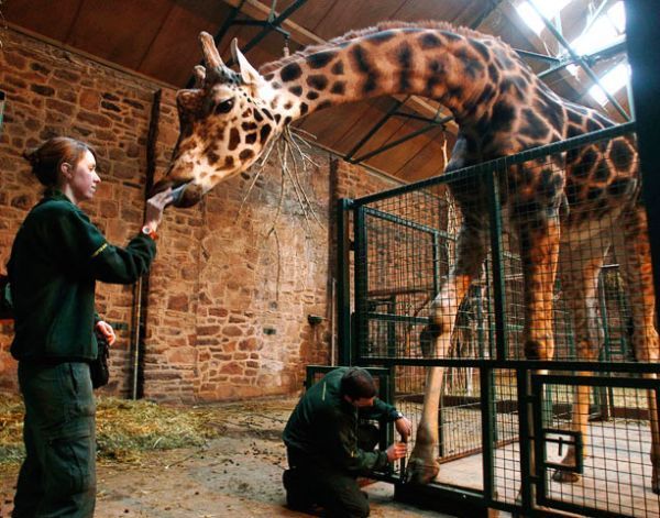 Daily picdump (133 pics)