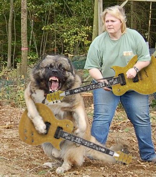 Daily picdump (92 pics)