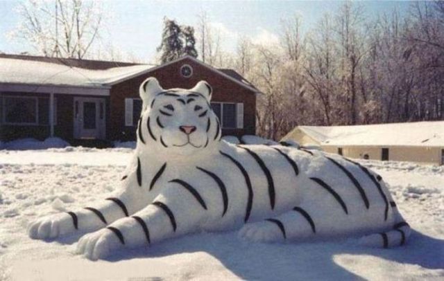 Daily picdump (92 pics)