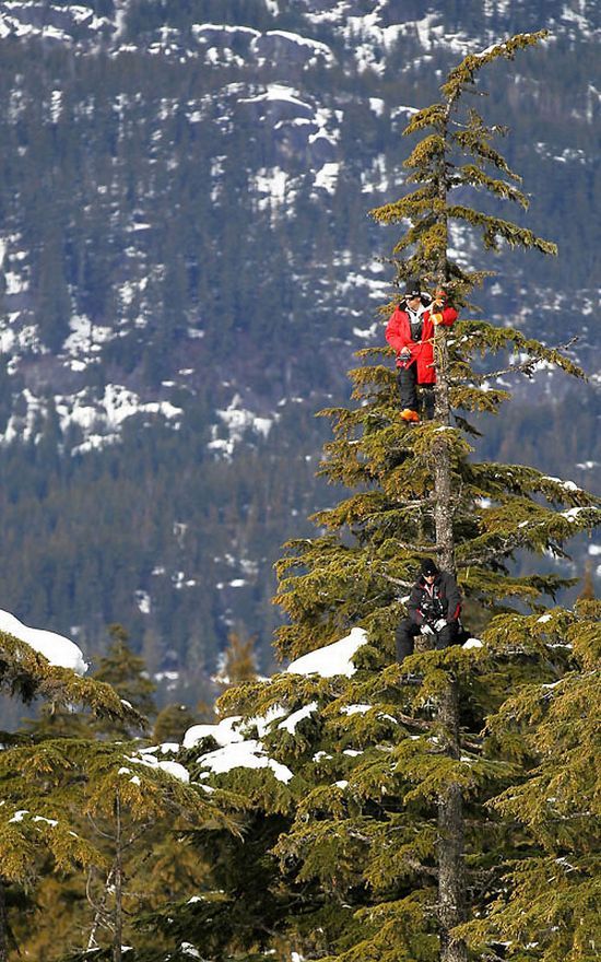 Daily picdump (92 pics)