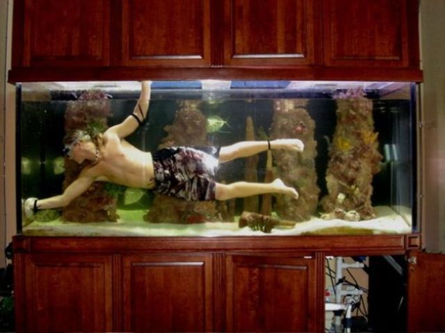 Daily picdump (92 pics)