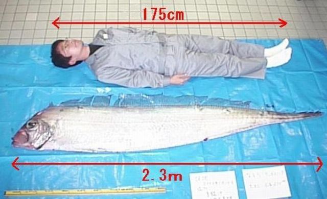 Daily picdump (92 pics)