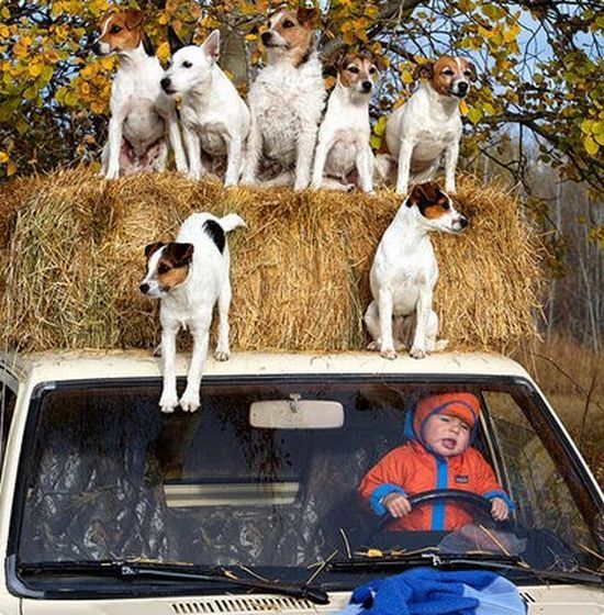 Daily picdump (92 pics)