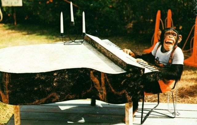 Daily picdump (92 pics)