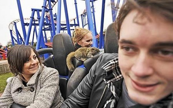 Daily picdump (92 pics)