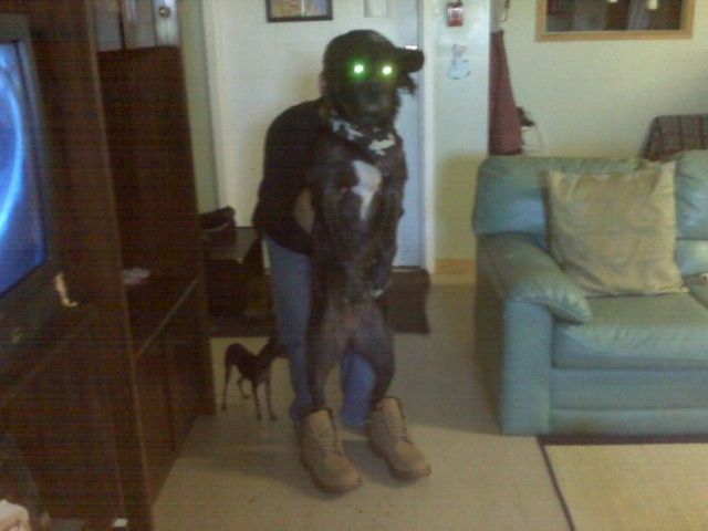 Daily picdump (136 pics)