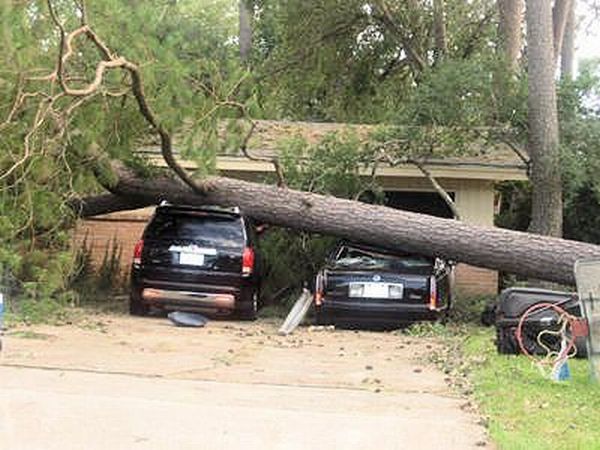 Daily picdump (136 pics)