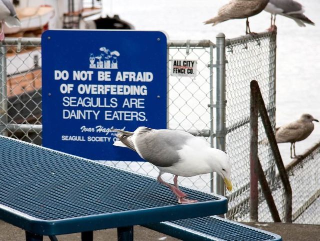 Daily picdump (136 pics)