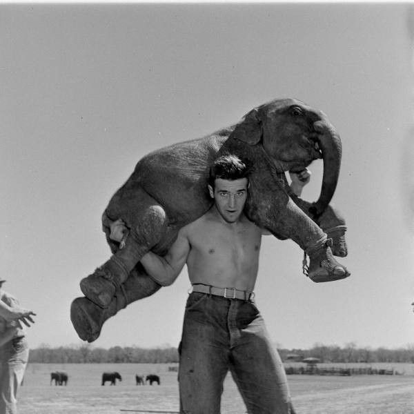 Daily picdump (136 pics)