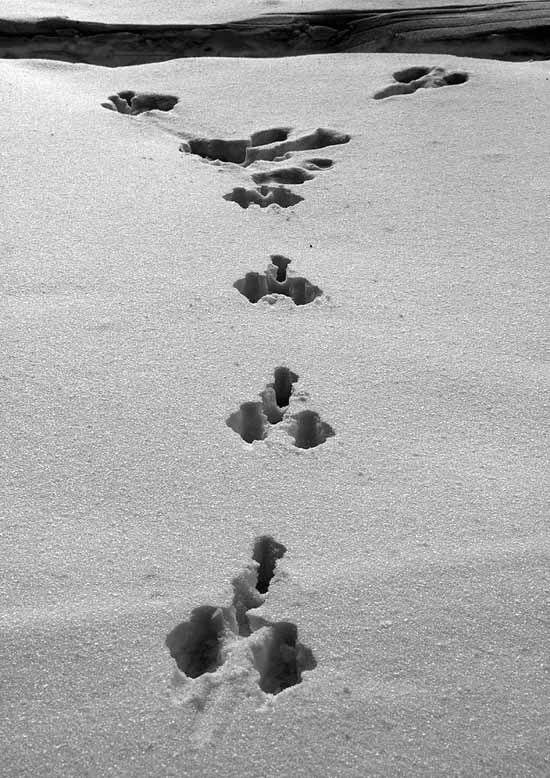 Daily picdump (136 pics)