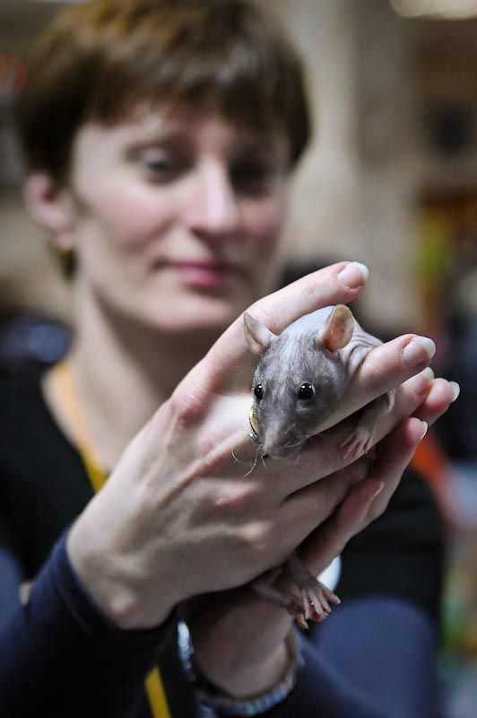 Daily picdump (136 pics)