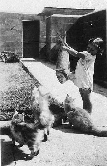 Daily picdump (136 pics)