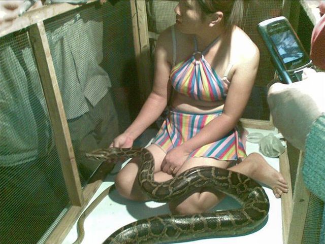 Daily picdump (136 pics)