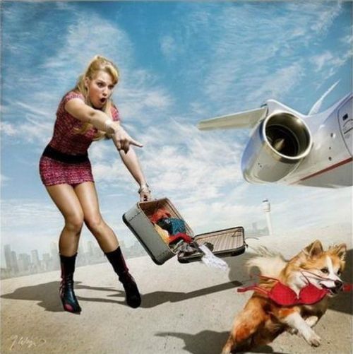 Daily picdump (136 pics)