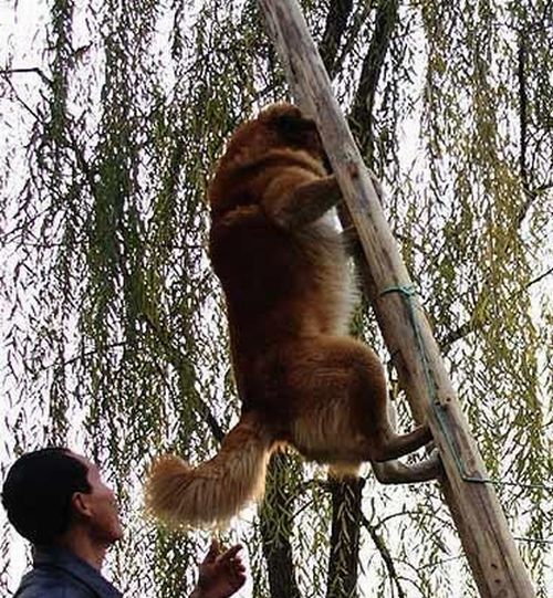 Daily picdump (136 pics)