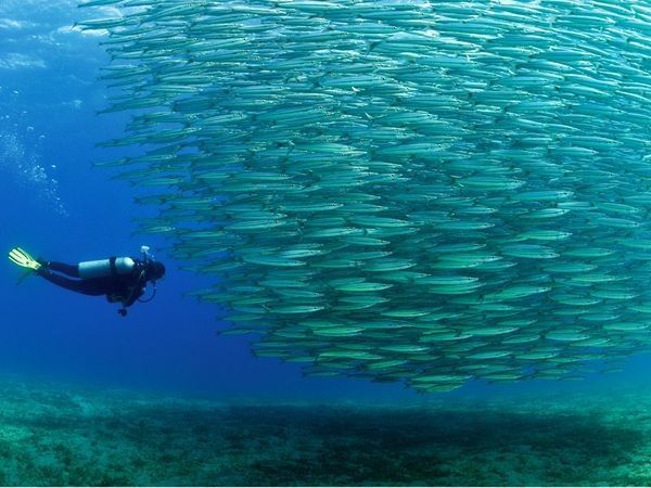 Daily picdump (136 pics)