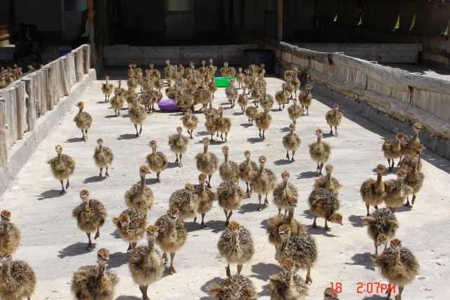 Daily picdump (136 pics)