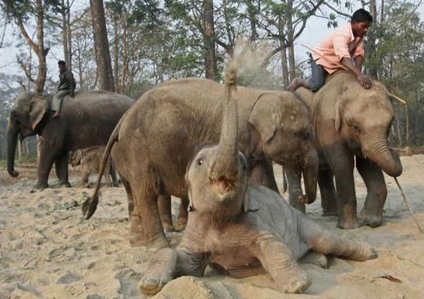 Daily picdump (136 pics)