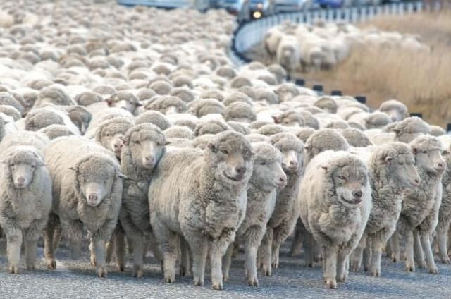 Daily picdump (136 pics)