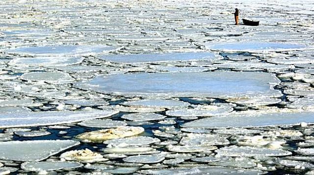 Daily picdump (136 pics)