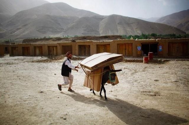 Daily picdump (136 pics)