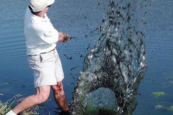 Daily picdump (134 pics)