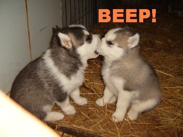 Daily picdump (134 pics)