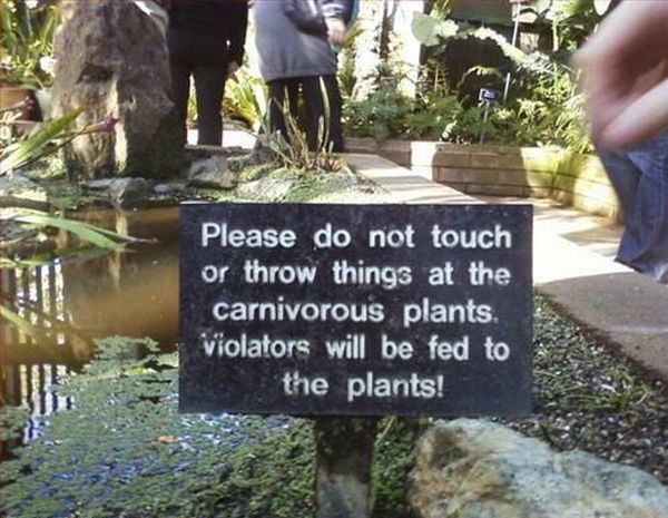 Daily picdump (134 pics)