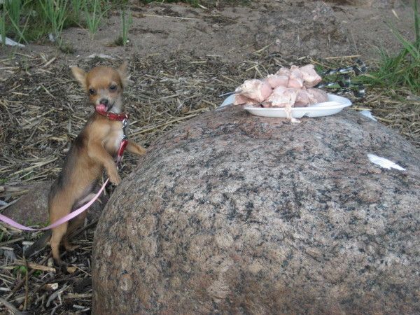 Daily picdump (134 pics)