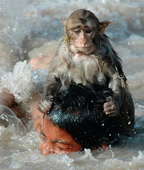 Daily picdump (134 pics)