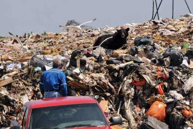 Daily picdump (134 pics)