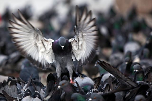 Daily picdump (134 pics)