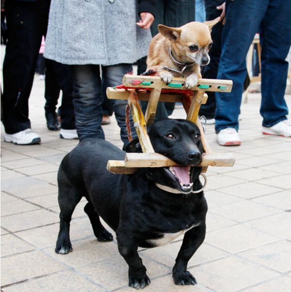 Daily picdump (134 pics)