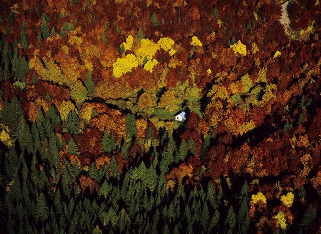 Alone in the middle of nowhere (16 pics)