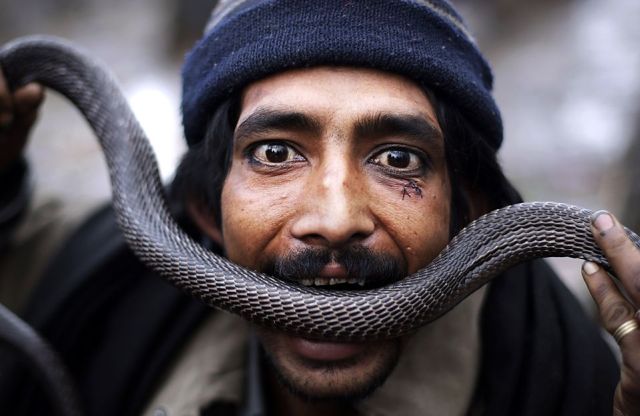 Daily picdump (137 pics)