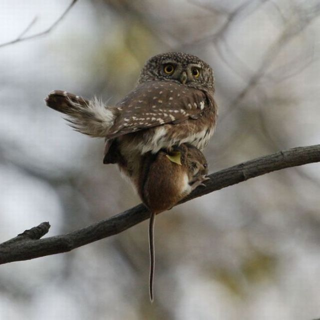 Daily picdump (137 pics)