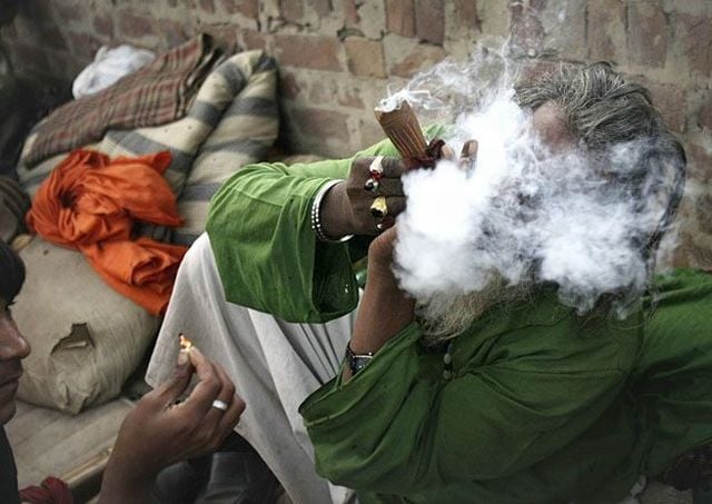 Daily picdump (137 pics)