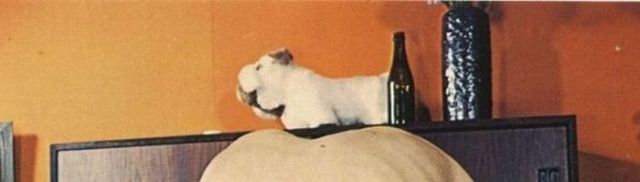 70s Danish Porno Style Interior Design (90 pics)