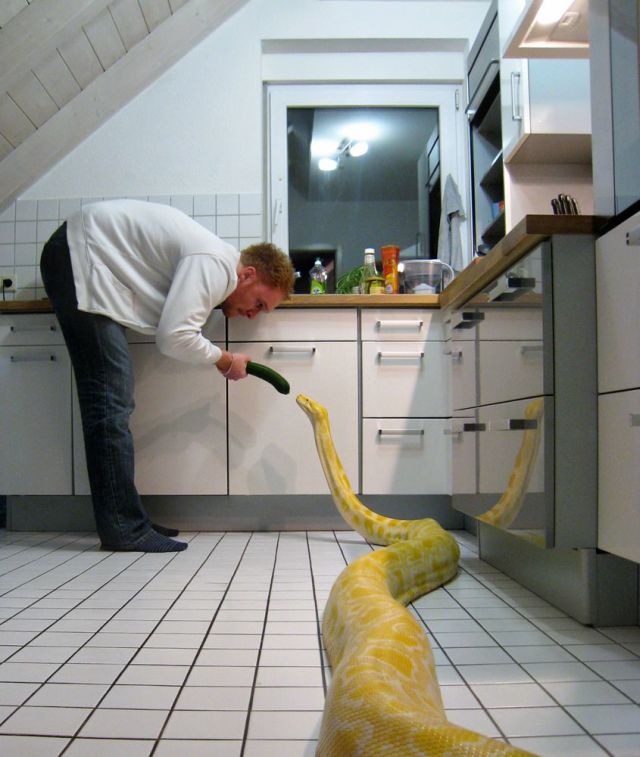 Daily picdump (129 pics)