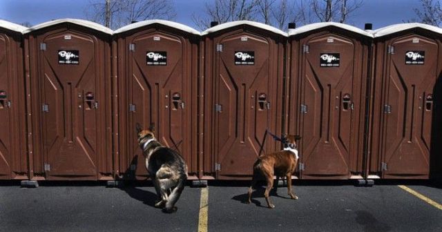 Daily picdump (129 pics)