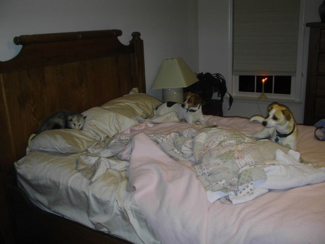 Daily picdump (129 pics)