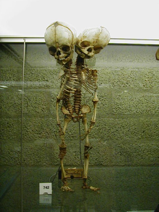 Daily picdump (129 pics)