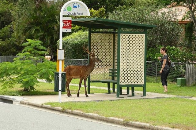 Daily picdump (129 pics)