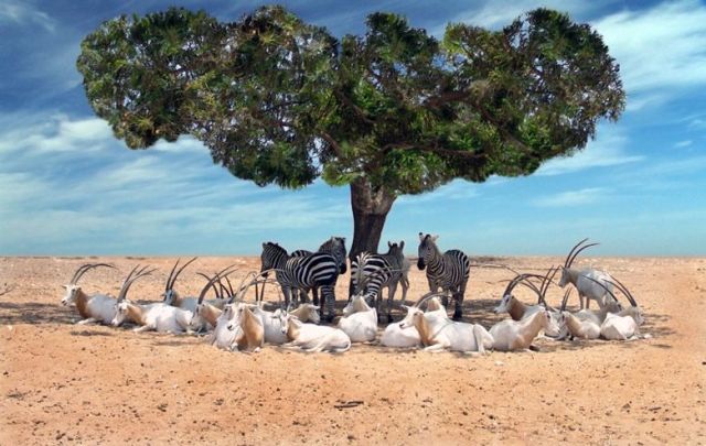 Daily picdump (129 pics)