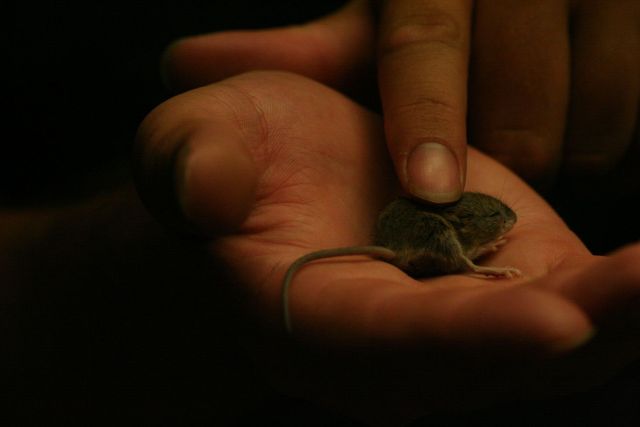 Daily picdump (129 pics)